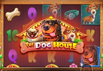 Microgaming - игровой автомат онлайн от Various с RTP 95.6%